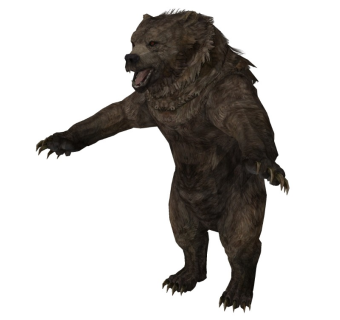 精品动物模型 (10)熊